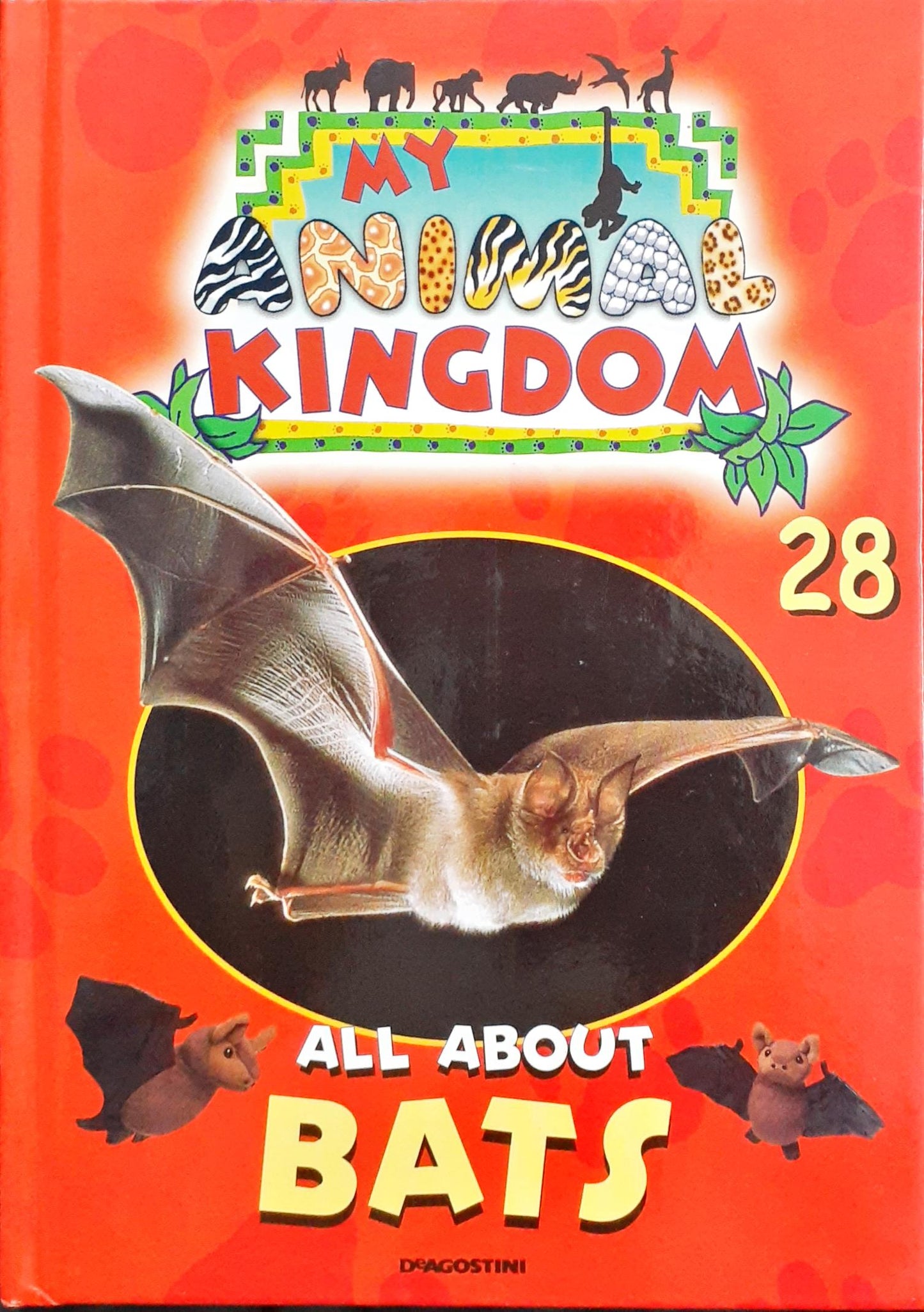 My animal kingdom all about bats