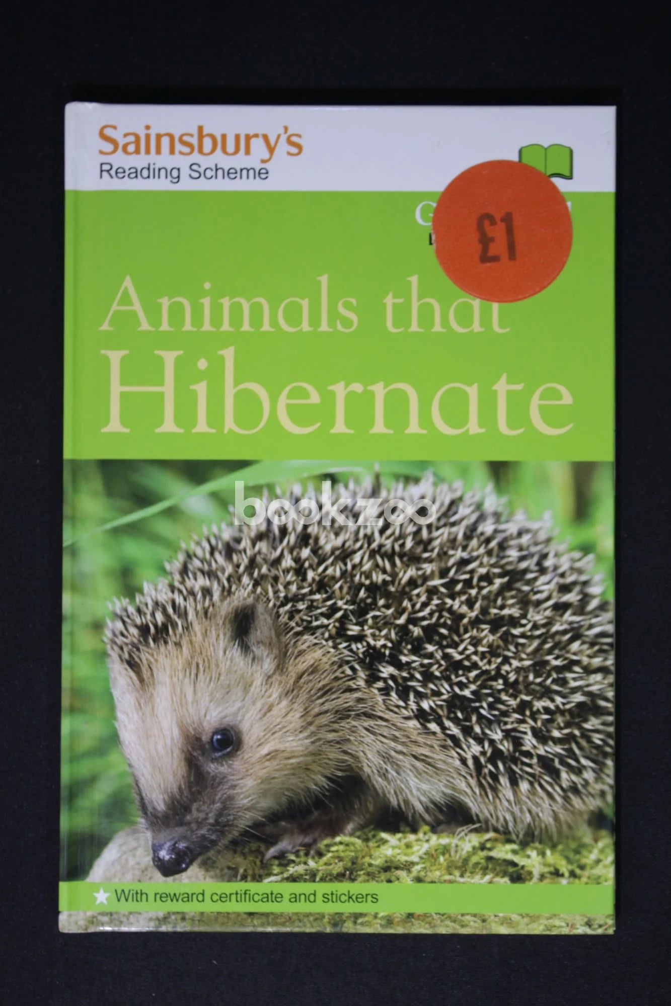 Animals that hibernate