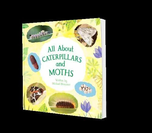 All about caterpillars and moths