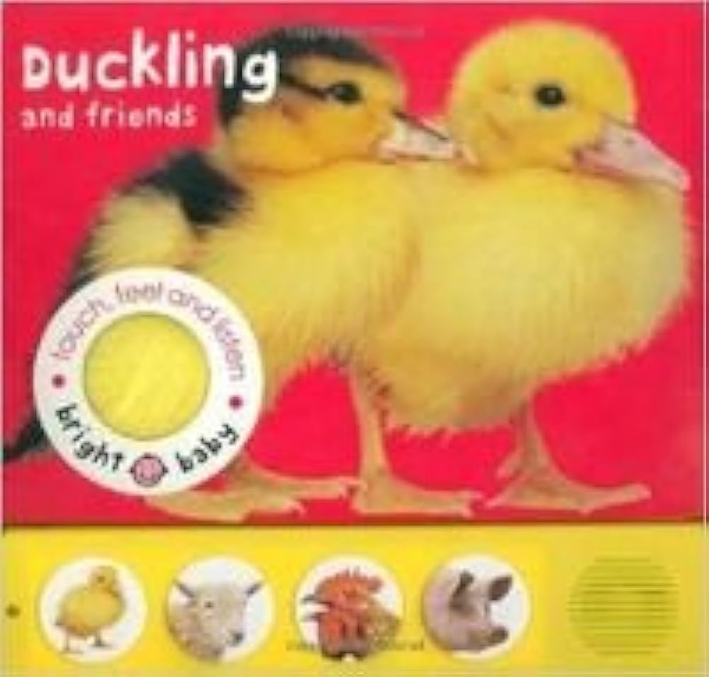 Duckling and friends -Touch and feel