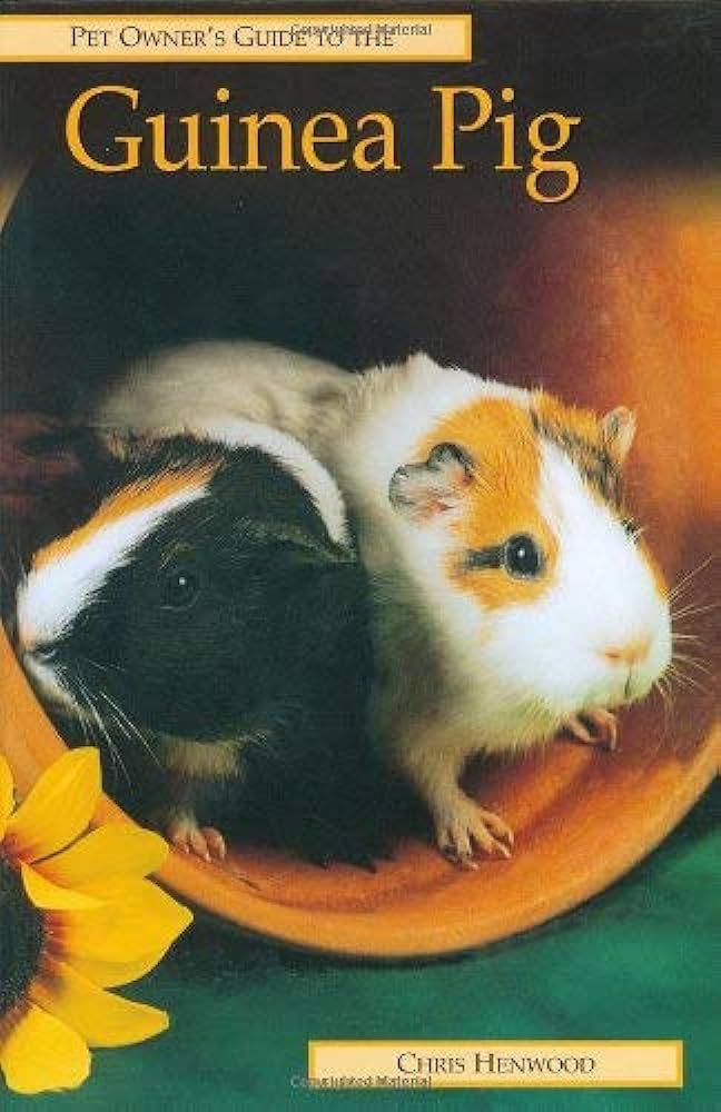 Guinea pig