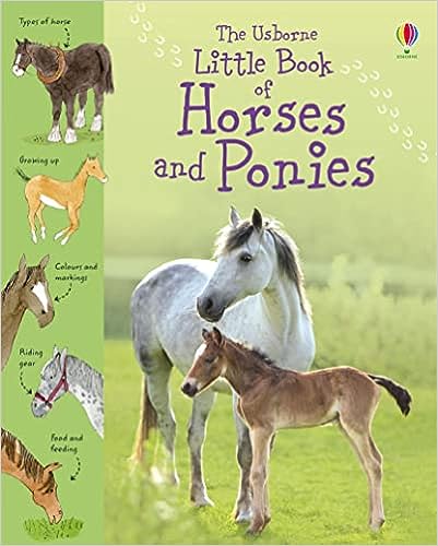 Little Book Of Horses And Ponies