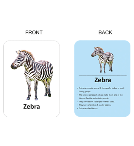 Animals Flash Cards