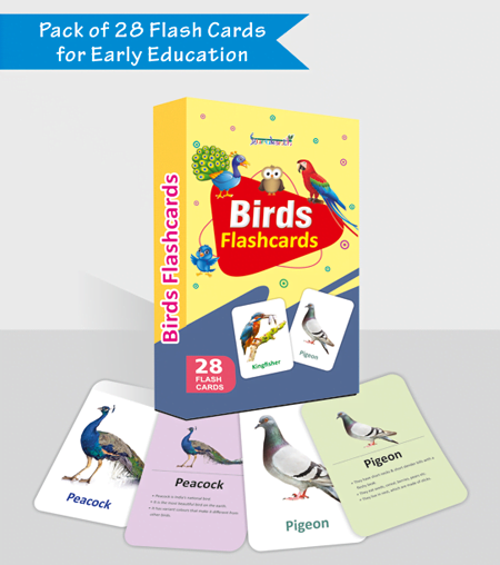 Birds Flash Cards