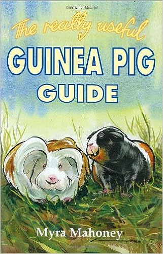 The Really Useful Guinea Pig Guide