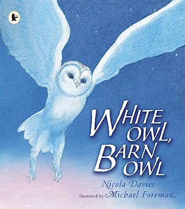 White Owl, Barn Owl