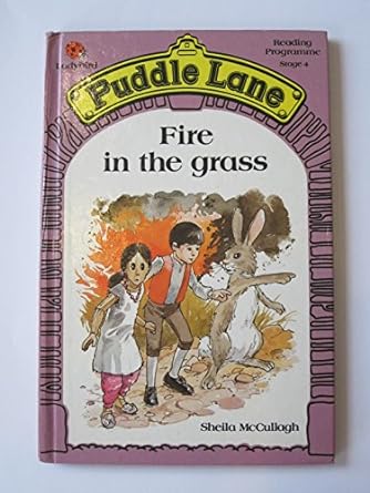 Puddle Lane Fire In the Grass