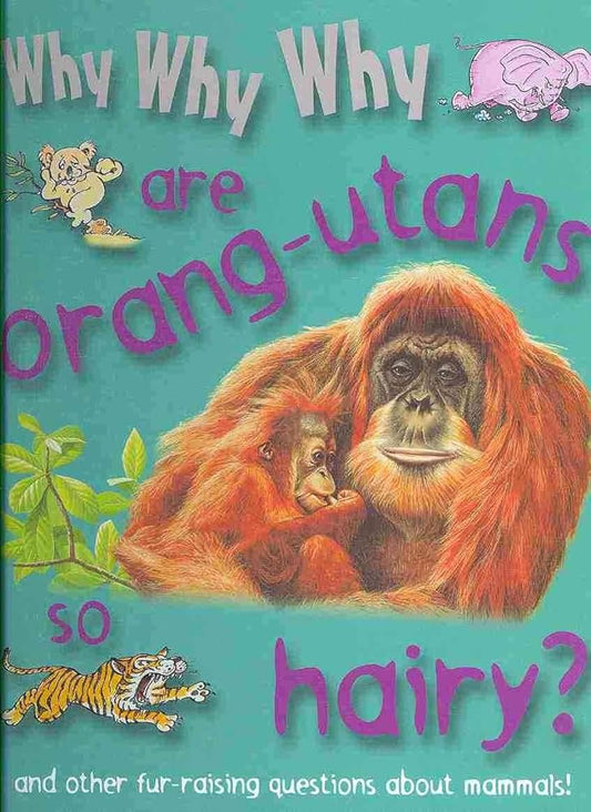 Why why why are arang utans so hairy?