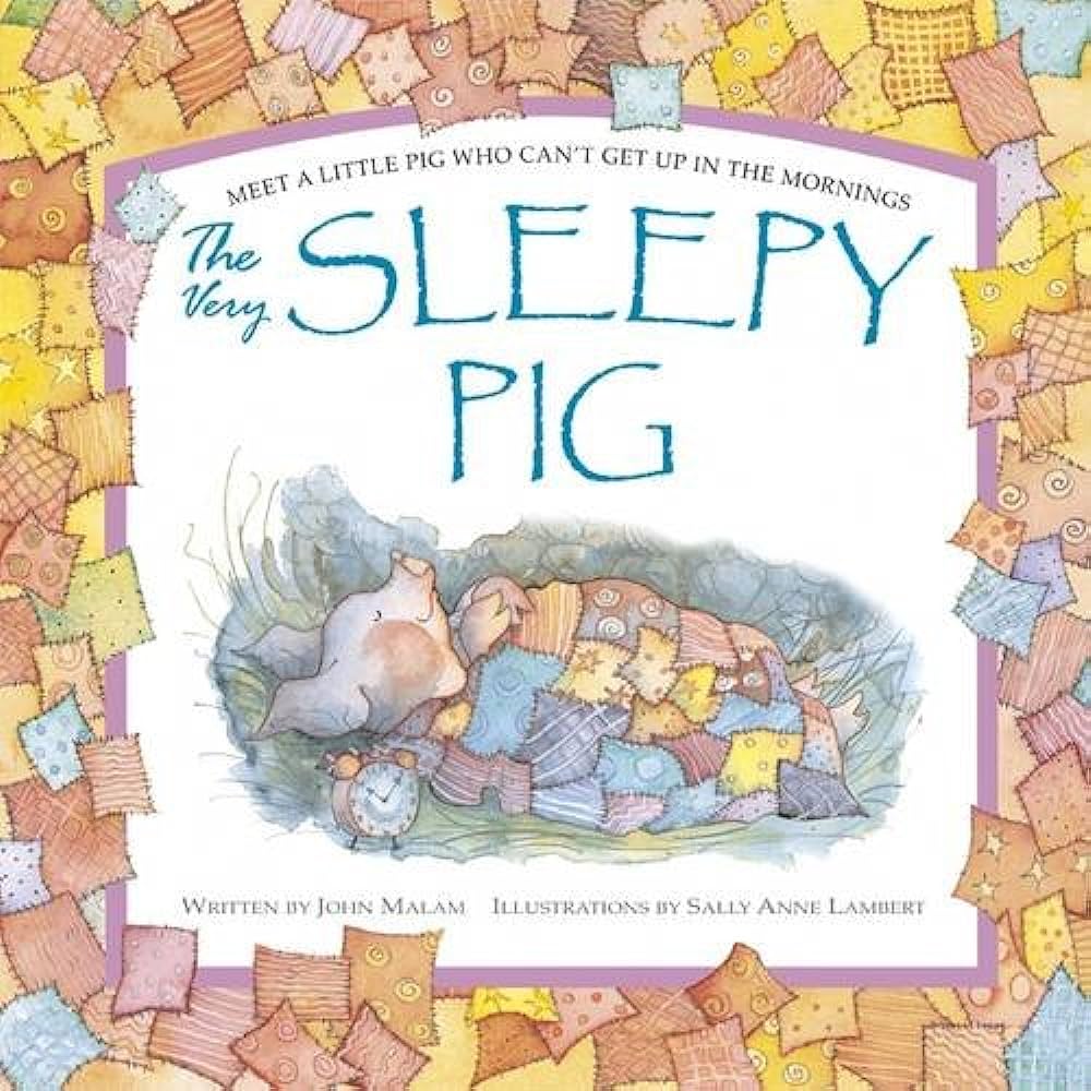 The very sleepy pig- Touch and feel