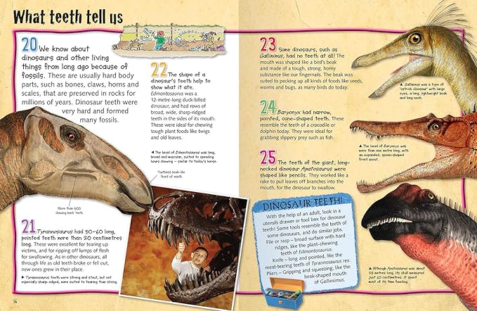 100 facts  Dinosaurs