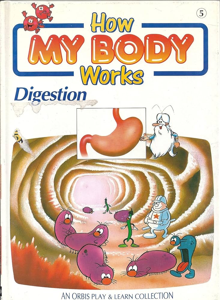 How my body works -Digestion 5