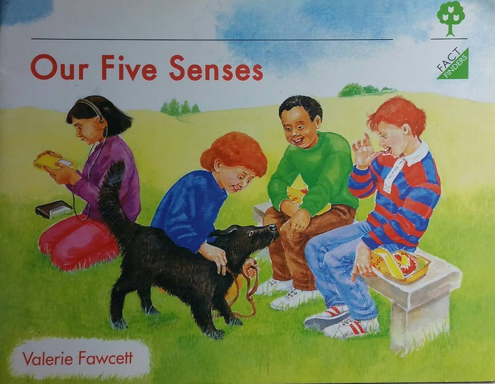 Our five senses