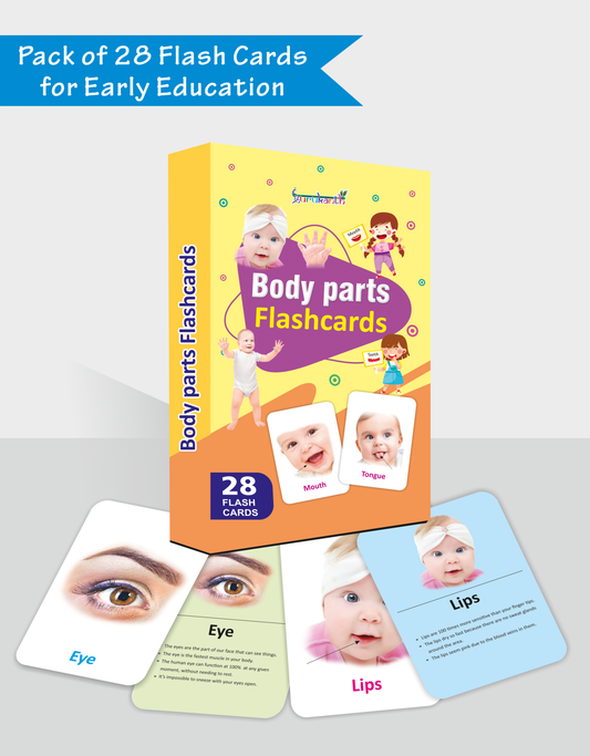 Body Parts Flash Cards For Kids