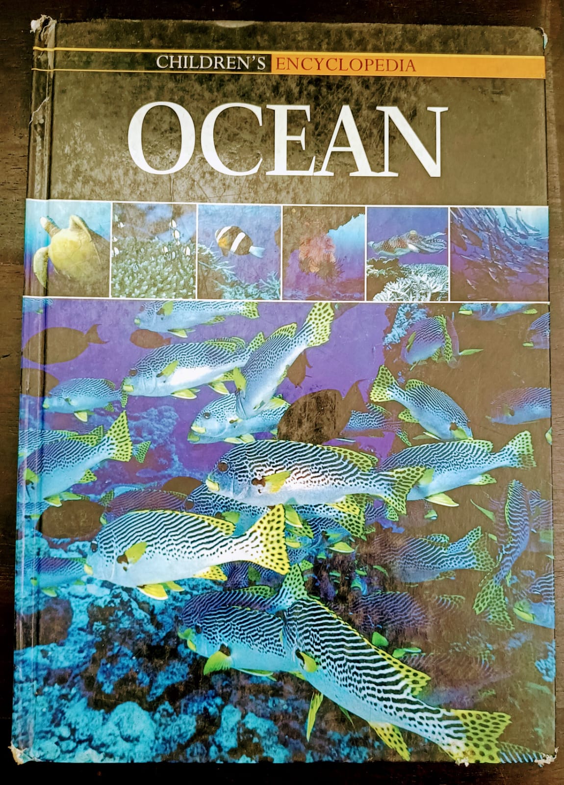 Children's Encyclopedia- Ocean