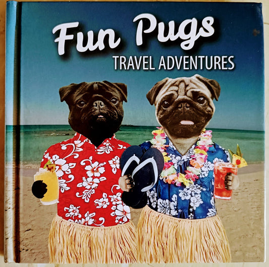 Fun Pugs Travel Adventures