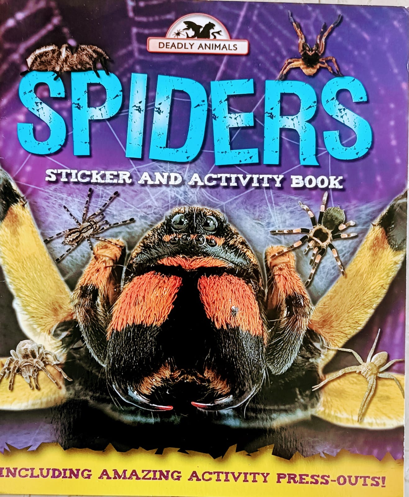 Deadly animals Spiders -sticker and activity book