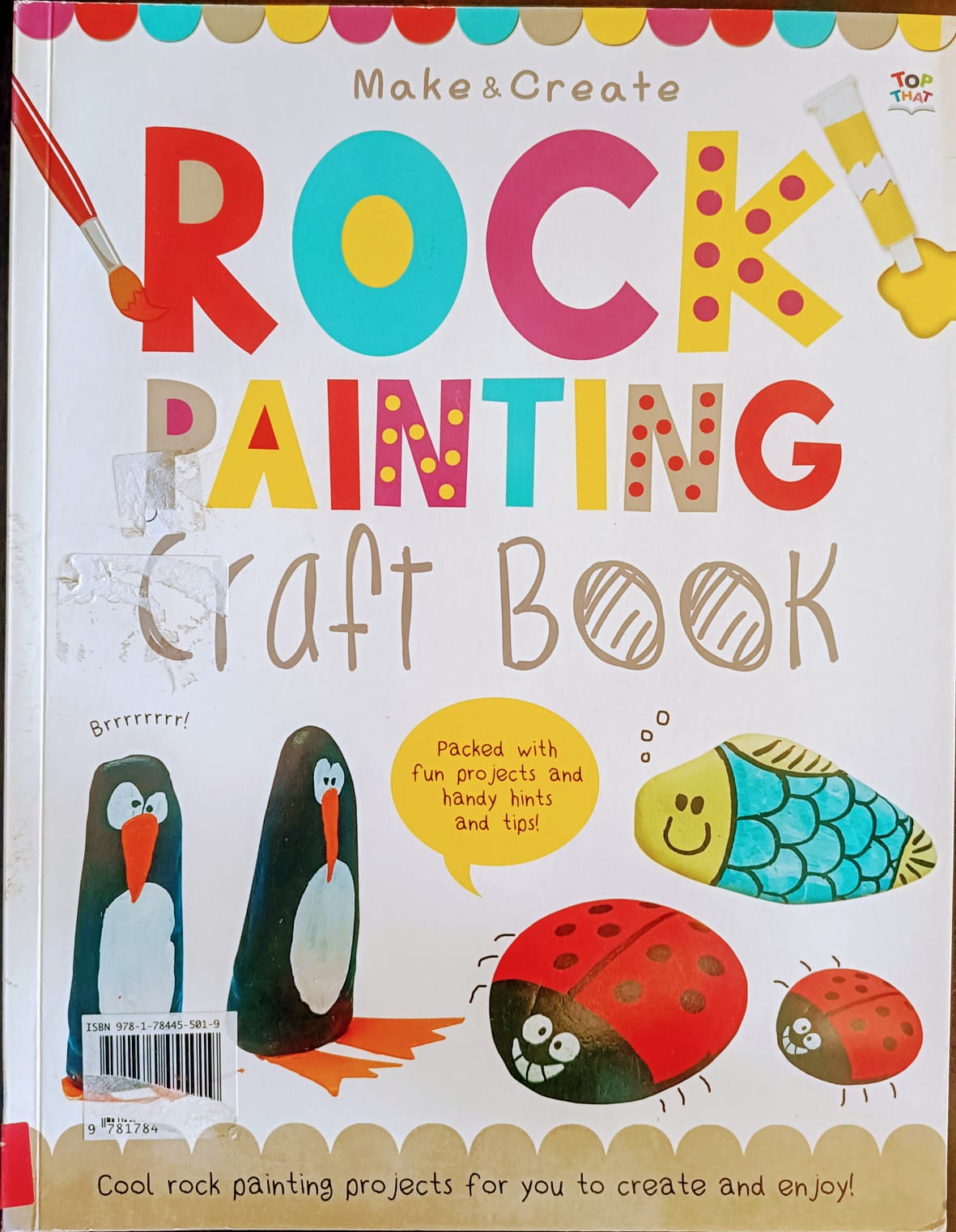 Rock painting carft book