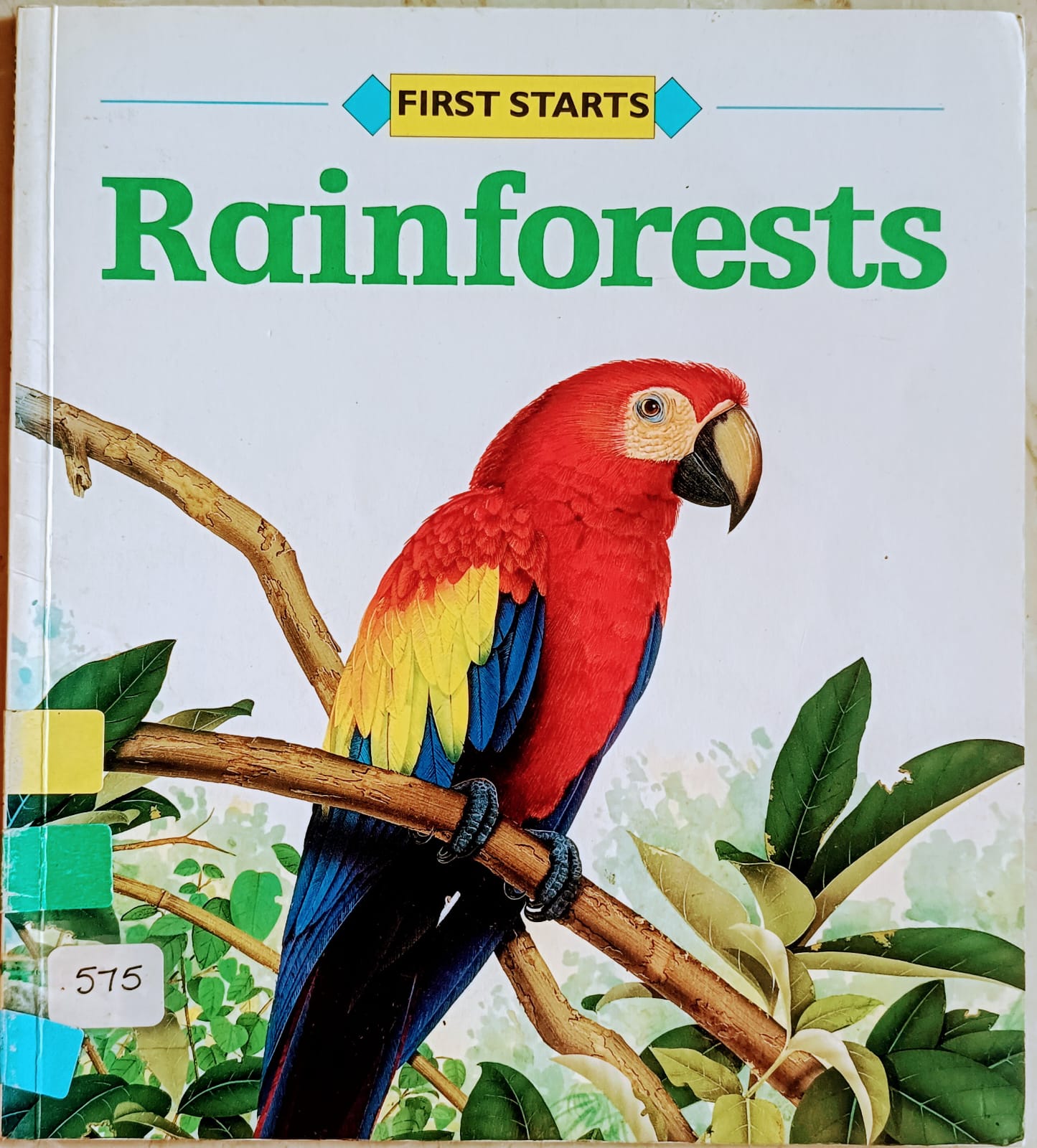 Rainforests-first starts