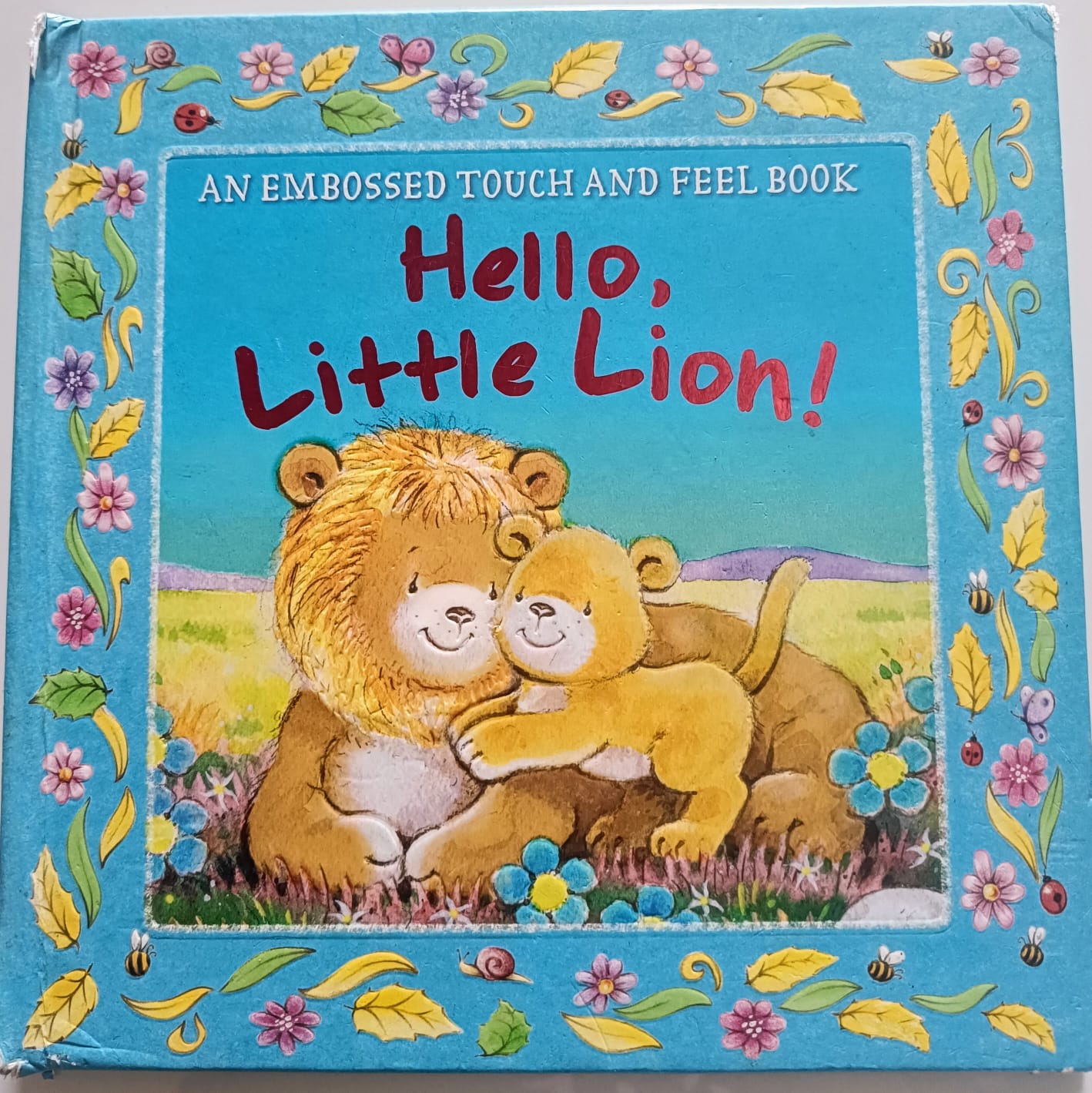 Hello little lion!- An embossed touch and feel book