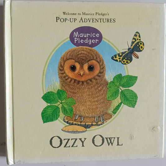 Ozzy Owl- Pop up adventure