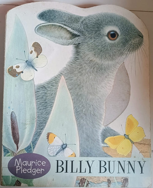 Billy Bunny