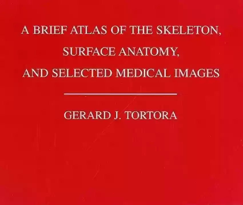 A Brief Atlas of the Human Skeleton, Surface Anatomy and Selected Medical Images