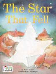 The star that fell