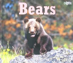 All about Animals- Bears -Readers Digest