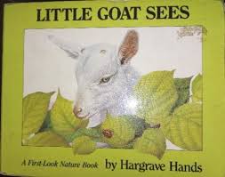 Little Goat Sees