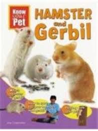 Hamster and gerbil