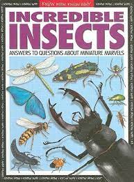 INCREDIBLE INSECTS - answers to questions about miniature marvels