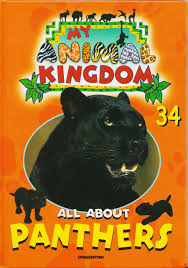 My animal kingdom- All about Panthers