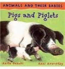 Animals and their babies Pigs and piglest