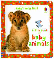 Little book of baby animals