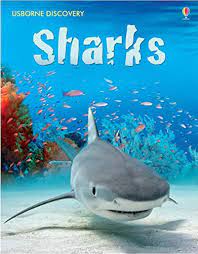 Usborne Discovery- Sharks