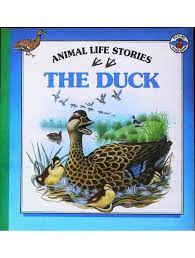 Animal life stories- The Duck