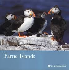 Farne Islands