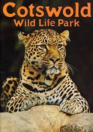 Cotswold wild life park