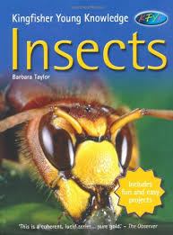 Insects