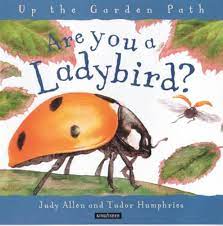 Are you a ladybird