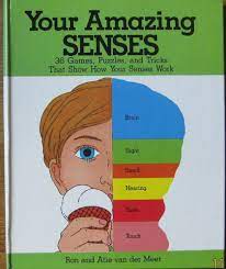 Your Amazing senses