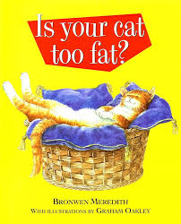 Is your cat too fat?