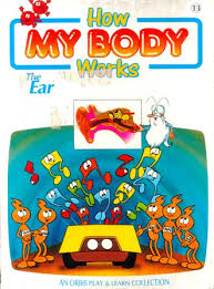 How my body works the ear