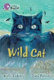 Wild cat