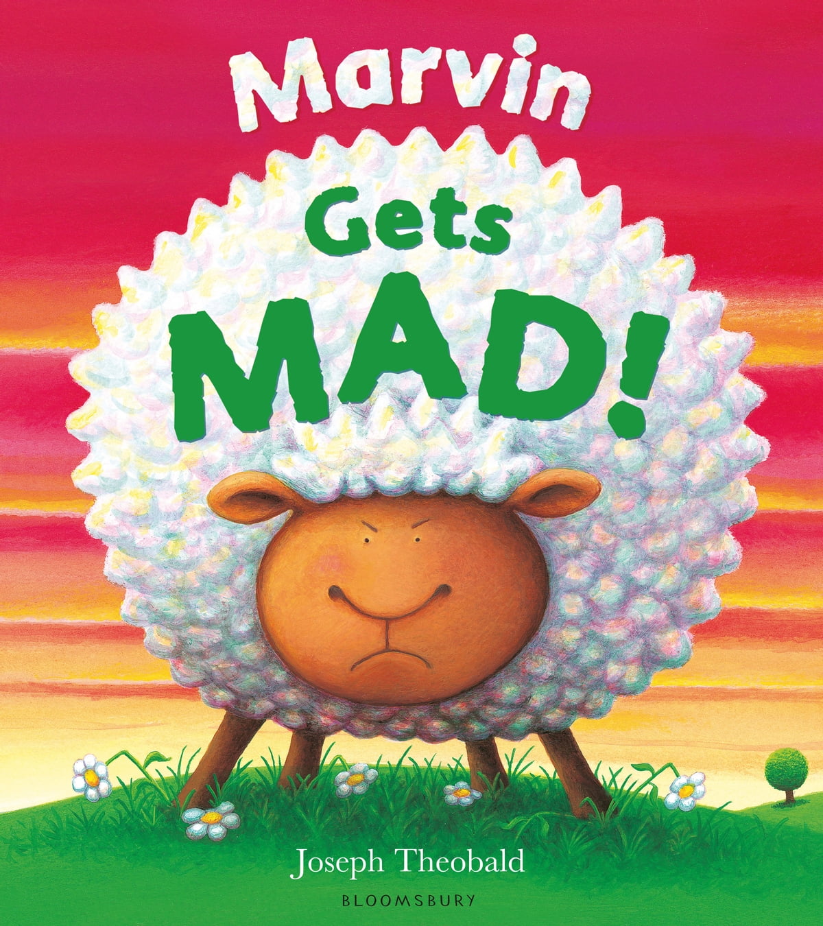 Marvin- gets mad !