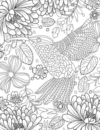 Rejuvenate yourself colouring book for adults