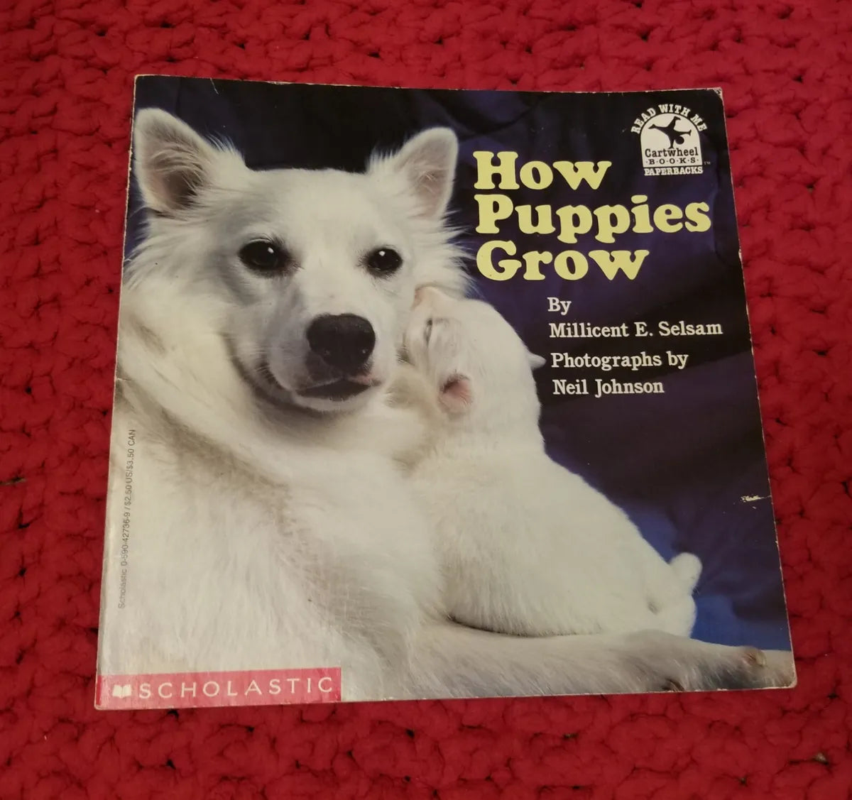 How puppies grow