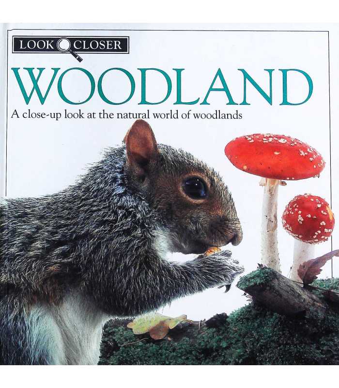 Woodland -a close up look at the  natural world of woodlands