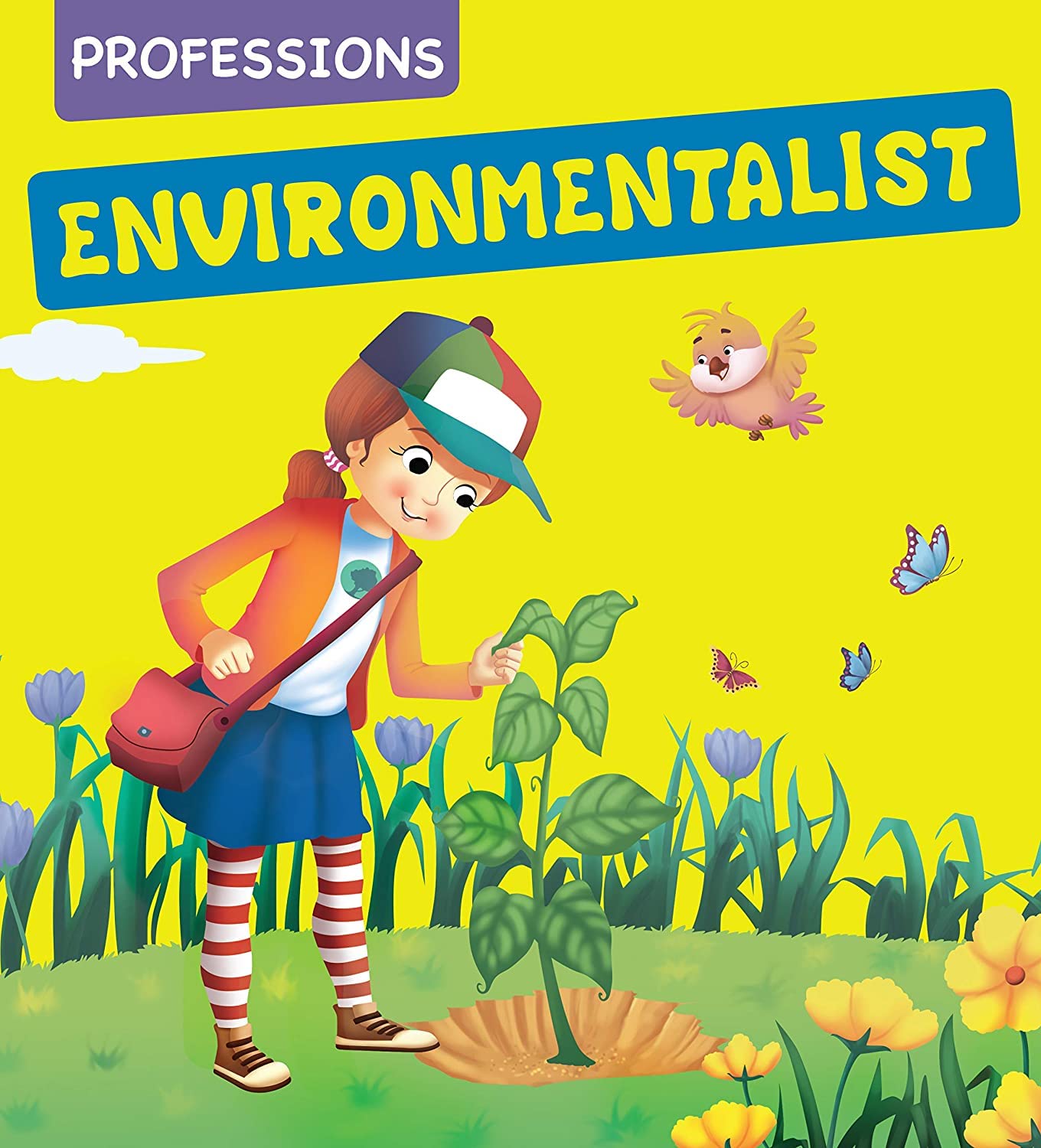 Professions -Environmentalist