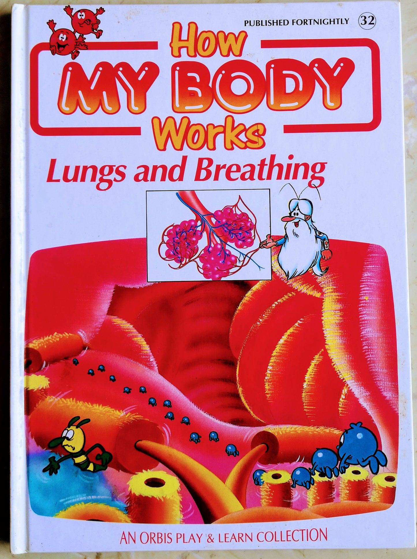 How My body works- Lungs and Breathing